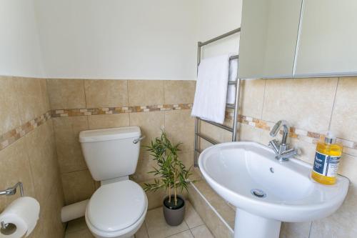 a bathroom with a toilet and a sink at Mornant in Trearddur