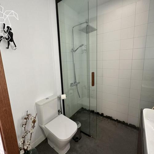 a bathroom with a toilet and a glass shower at Caretta Caretta's House in Los Llanos de Aridane