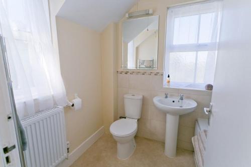 a bathroom with a toilet and a sink and a mirror at Penrhyn Gwyn in Aberffraw