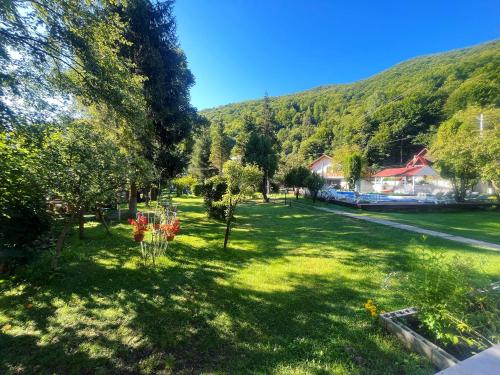 une cour verdoyante plantée d'arbres et de fleurs dans l'herbe dans l'établissement Casa Phoenix, à Băişoara