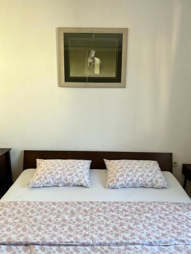ein Bett mit zwei Kissen und einem Bild an der Wand in der Unterkunft Apartment Sunny day in Livno