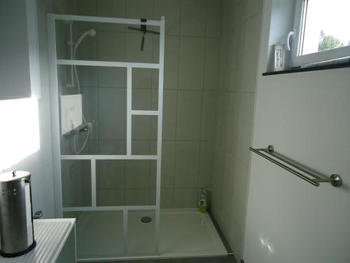 a shower with a glass door in a bathroom at Ferienhaus am Naturschutzgebiet in Rathenow