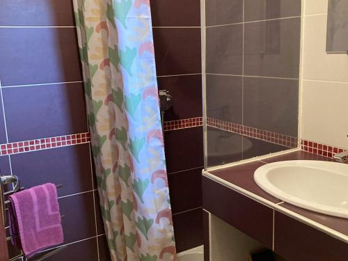 une salle de bain avec un rideau de douche et un lavabo dans l'établissement Charmant 2 pièces avec parking et Wi-Fi à Saint-Chaffrey - FR-1-762-46, à Saint-Chaffrey