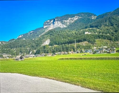 a green field with a mountain in the background at Gemütliche kleine Wohnung mit Garten in Unterburg