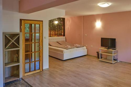 a bedroom with a bed and a television in it at Mushrooms house in Pleven