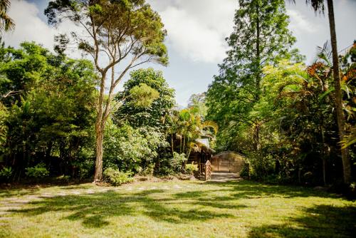 a yard with trees and a house in the background at Yes Homestay in Nanzhuang