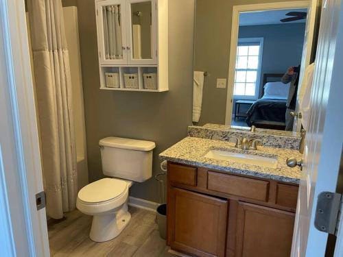 a bathroom with a toilet and a sink and a mirror at Luxury Townhome 1 Remodeled February 2021 in Bloomington