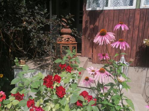 a group of flowers in front of a house at Stary Dom in Augustów