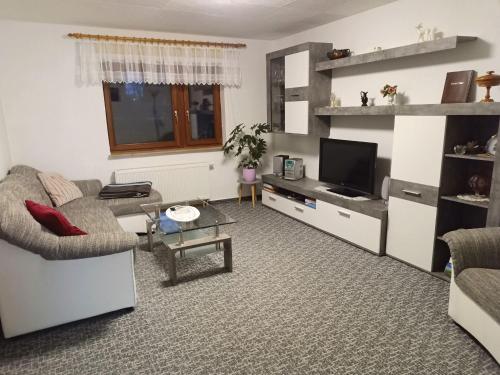 ein Wohnzimmer mit einem Sofa und einem TV in der Unterkunft Ferienwohnung Dorn in Polchow