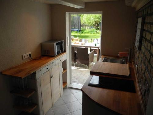 eine Küche mit einer Spüle und einer Mikrowelle auf der Theke in der Unterkunft Ferienwohnung BoddenBlick in Polchow