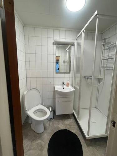 e bagno con servizi igienici, doccia e lavandino. di Liten eldre og koselig studiohybel a Svolvær