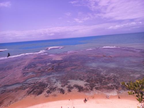 una vista aerea sulla spiaggia e sull'oceano di Pousada Imperador do Espelho a Praia do Espelho