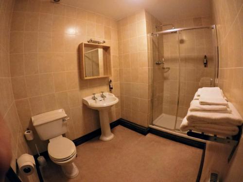 uma casa de banho com um chuveiro, um WC e um lavatório. em The Crown Inn em Horsted Keynes