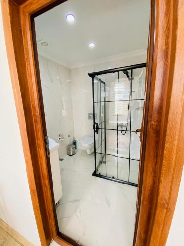 a bathroom with a toilet and a glass door at Stylish Hotel Old City in Istanbul