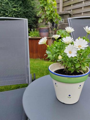 a white pot with white flowers on a table at Li Pitite Magrite in Manhay