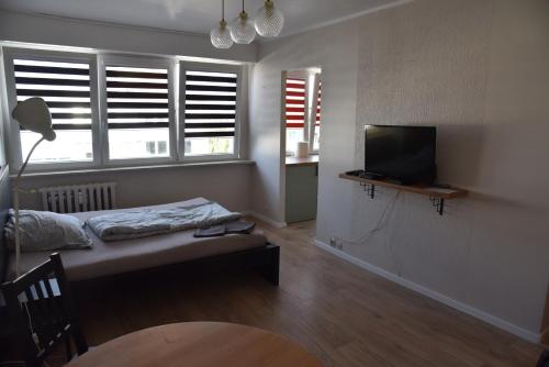 Zimmer mit einem Bett, einem TV und einigen Fenstern in der Unterkunft Kawalerka Górnośląska in Kalisz