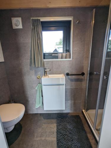 a bathroom with a toilet and a sink and a shower at Klavertje 4 in Middelaar