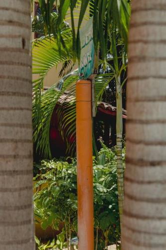 a street sign on an orange pole next to trees at Casabu in Zihuatanejo
