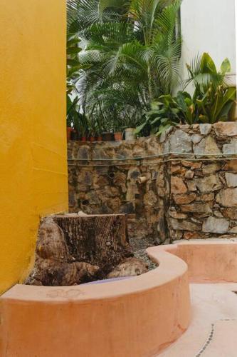 a stone wall with a tree stump in front of it at Casabu in Zihuatanejo