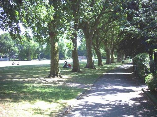 a tree lined path in a park with people sitting on the grass at Charming luxury 1 bed apartment in London