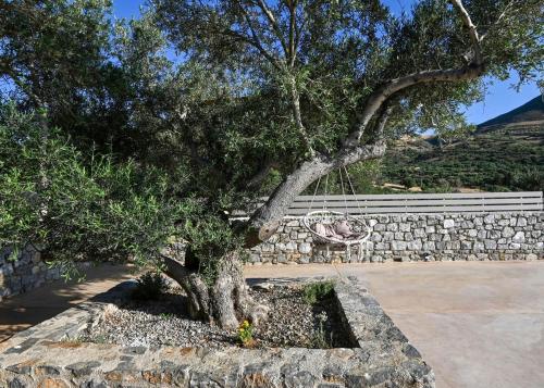 a tree in front of a stone wall at Mary's Villa in Levkóyia