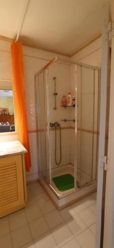 um chuveiro com uma porta de vidro na casa de banho em casa vacaciones Praia de Mira 