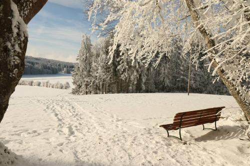 a bench sitting in the snow next to a tree at Appartement de vacances in Saulcy