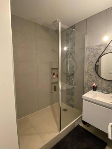 une salle de bain avec douche et lavabo dans l'établissement Appartement moderne T3 duplex, au Boulou