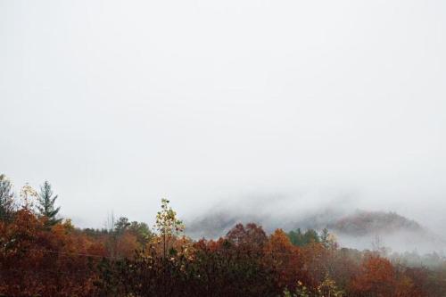 a foggy hillside with trees in the foreground at Tuckaseegee @ Sky Ridge Yurts in Bryson City