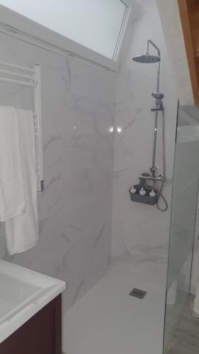 a white bathroom with a shower with a glass door at Vivienda Villalvaro in Santander