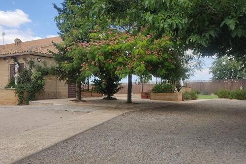a tree in front of a house with pink flowers at Finca El Pilar in Madridejos