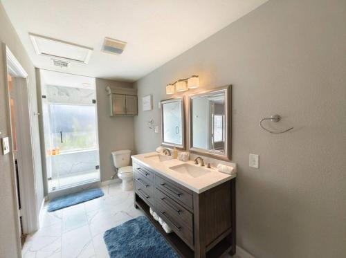 ein Badezimmer mit einem Waschbecken, einem Spiegel und einem WC in der Unterkunft Tranquil Oasis in Houston