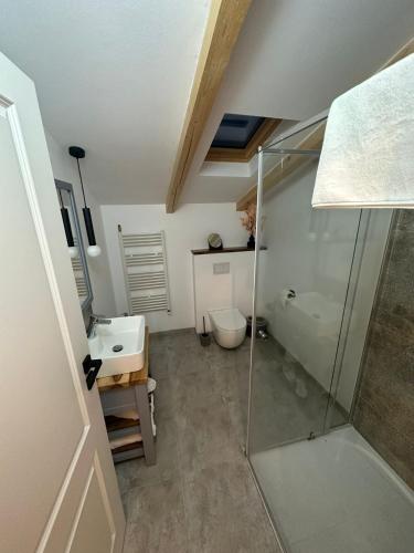 a bathroom with a shower and a toilet and a sink at Casa Mara Viseu de Sus in Vişeu de Sus