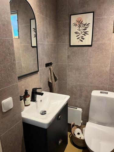 a bathroom with a sink and a toilet and a mirror at Stuga Sövde in Sövde
