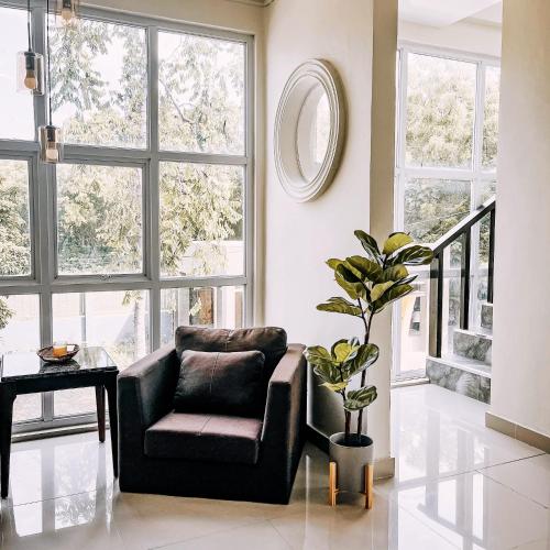 a living room with a chair and a potted plant at ONYX B&B Bed and Breakfast in Euscara