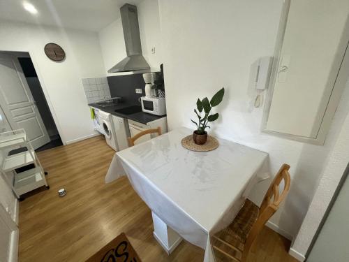 una cocina con una mesa blanca con una planta en Studio avec balcon au centre de Bagnères, en Bagnères-de-Bigorre