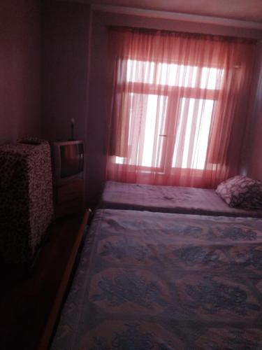 波格拉德茨的住宿－Relax apartament，一间卧室配有一张带窗户的床和一台电视