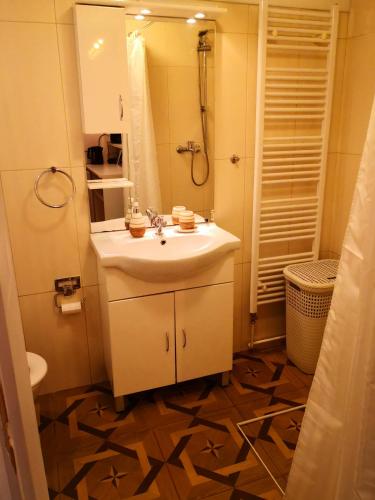 een badkamer met een wastafel en een spiegel bij Apartment Bistrik 1 in Sarajevo