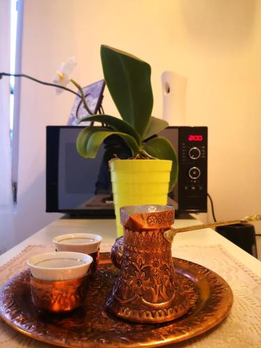 TV a/nebo společenská místnost v ubytování Apartment Bistrik 1