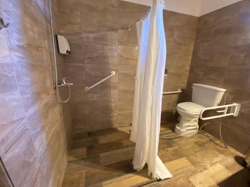 y baño con ducha y aseo. en Grateus Luxury Apart & Spa en Villa General Belgrano