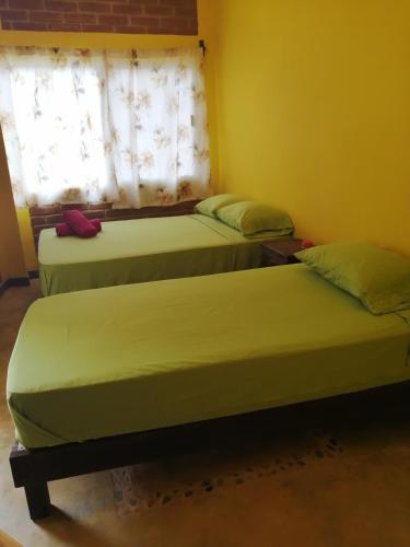 two beds sitting in a room with a window at HOTEL AVE FENIX in Mazunte