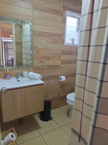 y baño con lavabo, aseo y espejo. en CASA EQUIPADA LAGO RANCO, en Lago Ranco