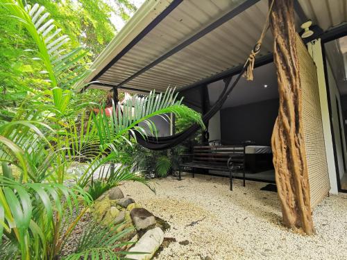 Un jardín fuera de DS House