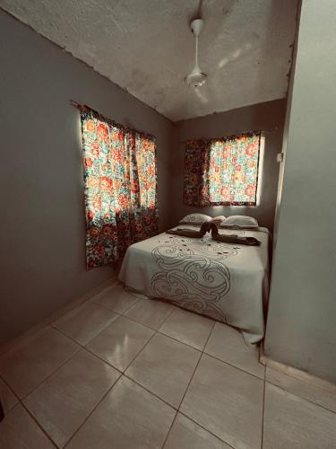 een slaapkamer met een bed en 2 ramen bij Samana tropical in Santa Bárbara de Samaná