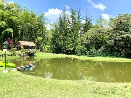 a pond with a gazebo in the middle of a park at Rancheria Loft Chalet, lago privado in Rionegro