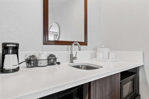 a bathroom counter with a sink and a mirror at Hampton Inn & Suites Colorado Springs-Air Force Academy/I-25 North in Colorado Springs