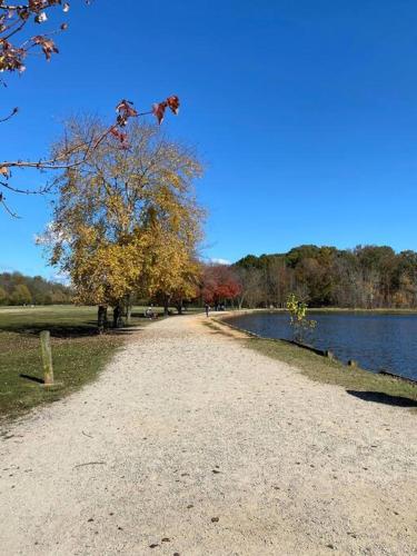 a dirt road next to a lake with trees at Spotless 4BR near CLT Uptown, Fast Wi-Fi in Charlotte