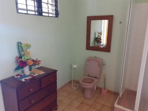 La salle de bains est pourvue de toilettes, d'une commode et d'un miroir. dans l'établissement Jasmin, à Ducos