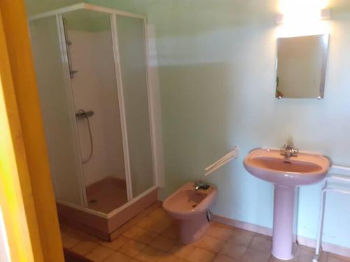 a bathroom with a shower and a toilet and a sink at Jasmin in Ducos