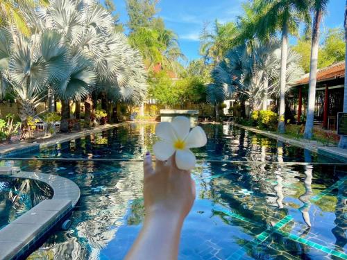 a person holding a white frisbee in front of a pool at Full Moon Village Resort in Mui Ne